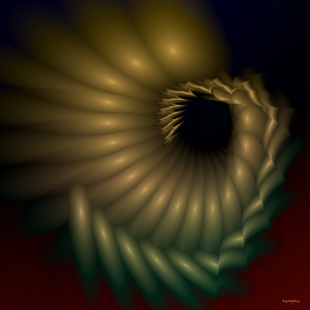 Shell